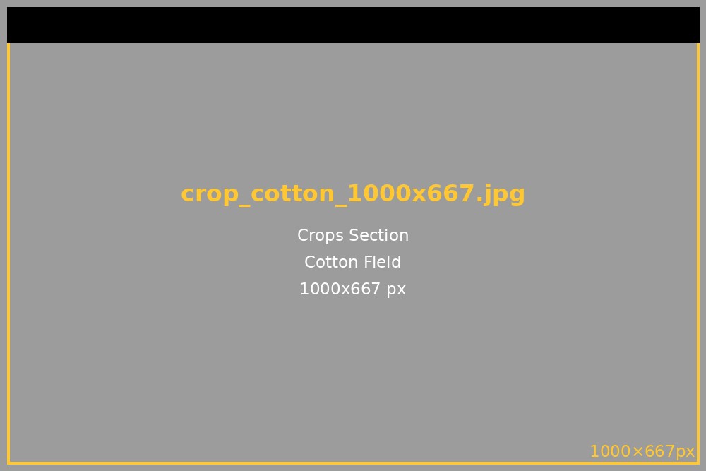 Cotton