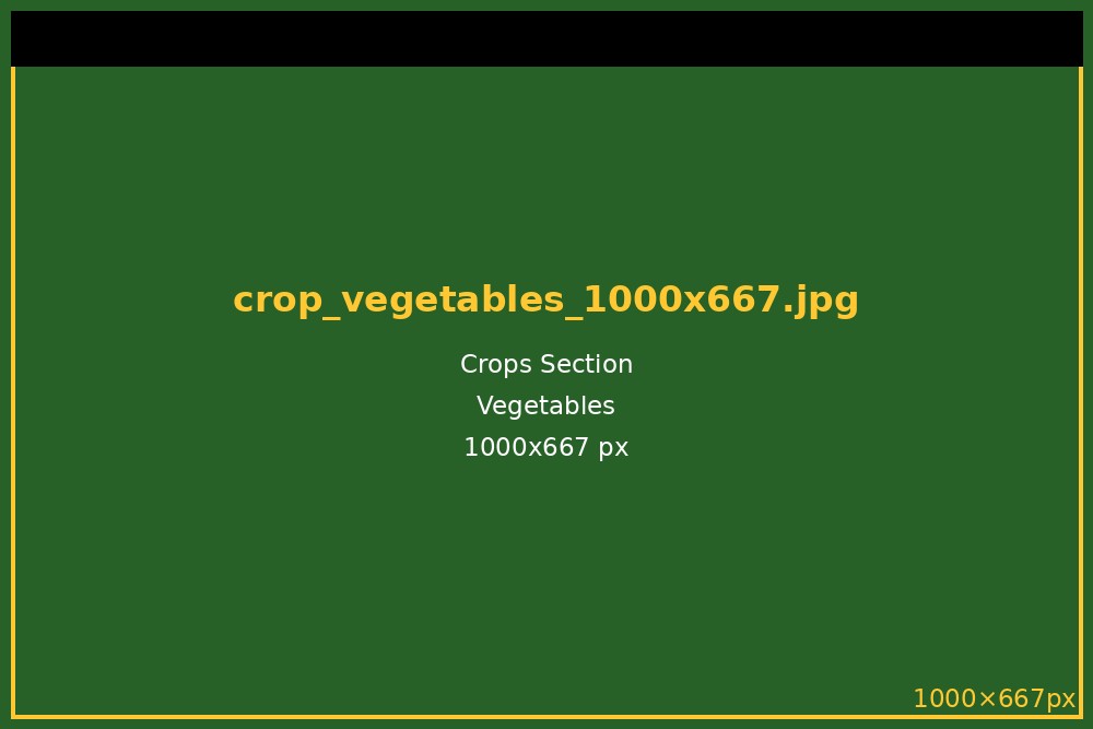 Vegetables