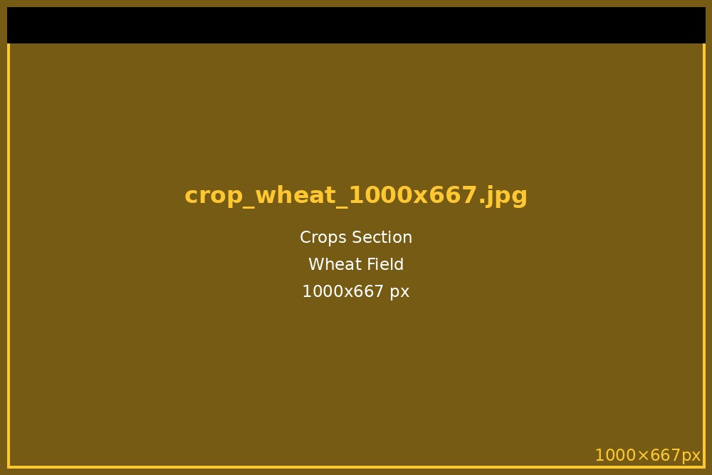 Wheat