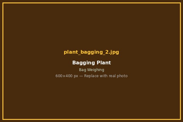 Bagging 2