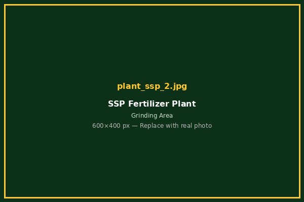 SSP Plant 2